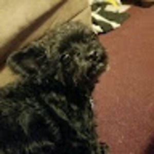 Meet your Posher, Lexus